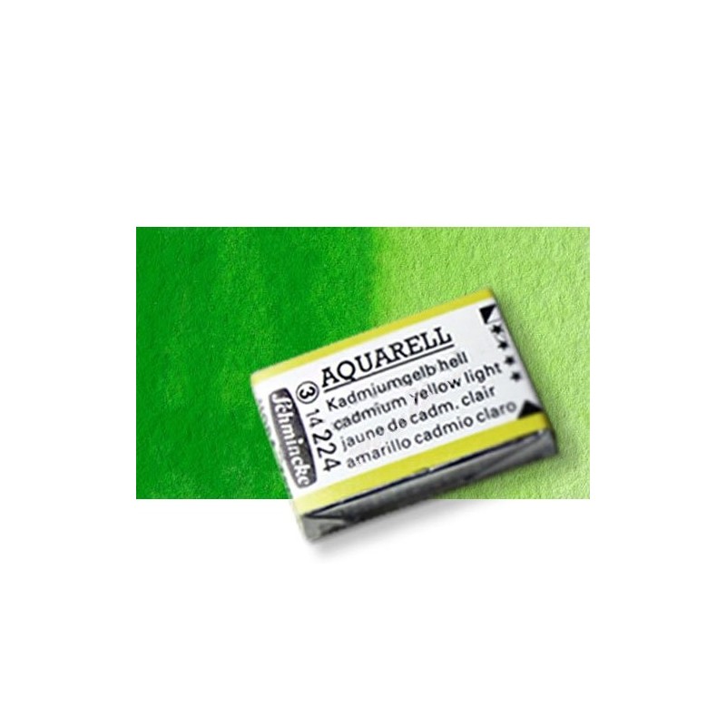 Material Bellas Artes - Pintura - Acuarela Schmincke Horadam, Verde Permanente 526, Godet Completo. S.2 * | totenart.com