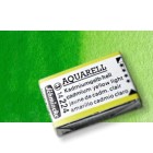 Material Bellas Artes - Pintura - Acuarela Schmincke Horadam, Verde Permanente 526, Godet Completo. S.2 * | totenart.com