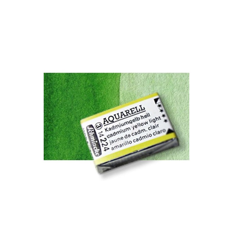 Material Bellas Artes - Pintura - Acuarela Schmincke Horadam, Verde Vejiga 530, Godet Completo. S.2 * | totenart.com