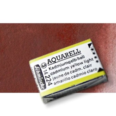 Material Bellas Artes - Pintura - Acuarela Schmincke Horadam, Rojo Indio 645, Godet Completo. S.1 * | totenart.com