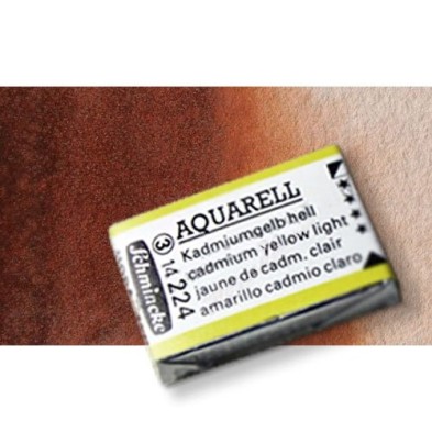 Material Bellas Artes - Pintura - Acuarela Schmincke Horadam, Pardo Transparente 648, Godet Completo. S.2 * | totenart.com