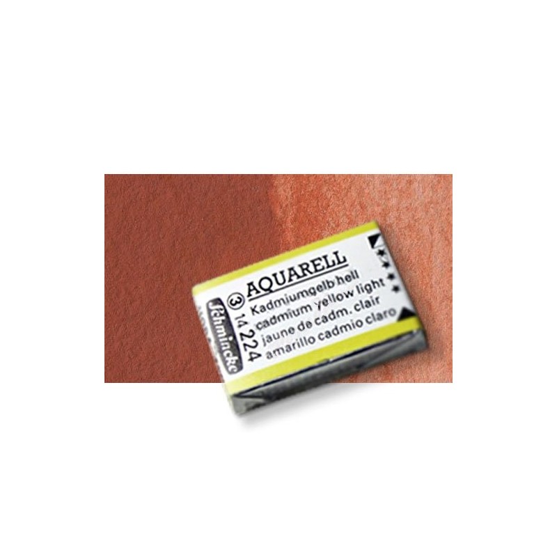 Material Bellas Artes - Pintura - Acuarela Schmincke Horadam, Rojo de Venecia 649, Godet Completo. S.1 * | totenart.com