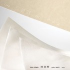 Material Bellas Artes - Pintura - Hoja Ingres Arches MBM 130  gr, 50X65 cm | totenart.com