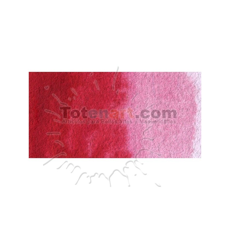 Material Bellas Artes - Pintura - Acuarela Cotman Winsor & Newton 1/2 godet color rosa Madder | totenart.com