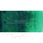 Material Bellas Artes - Pintura - Acuarela Cotman Winsor & Newton 1/2 godet color viridiana | totenart.com