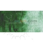 Material Bellas Artes - Pintura - Acuarela Cotman Winsor & Newton 1/2 godet color verde de Hooker oscuro | totenart.com