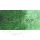 Material Bellas Artes - Pintura - Acuarela Cotman Winsor & Newton 1/2 godet color verde de Hooker claro | totenart.com