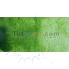 Material Bellas Artes - Pintura - Acuarela Cotman Winsor & Newton 1/2 godet color verde vejiga | totenart.com