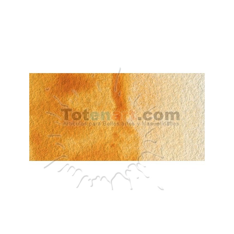 Material Bellas Artes - Pintura - Acuarela Cotman Winsor & Newton 1/2 godet color siena natural | totenart.com