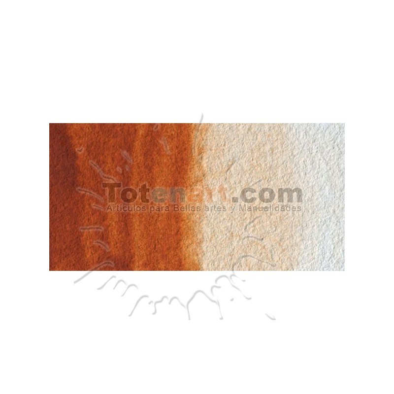 Material Bellas Artes - Pintura - Acuarela Cotman Winsor & Newton 1/2 godet color siena tostada | totenart.com