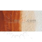 Material Bellas Artes - Pintura - Acuarela Cotman Winsor & Newton 1/2 godet color siena tostada | totenart.com