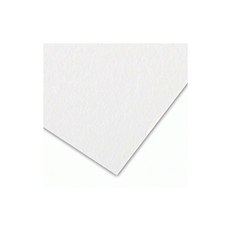 Material Bellas Artes - Pintura - Papel Secante Canson, 250 gr, 50x65 cm. | totenart.com