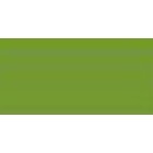 Material Bellas Artes - Pintura - Lápiz polychromo Faber Castell verde tierra amarillento 168 | totenart.com