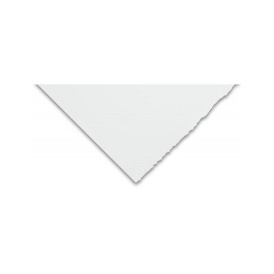 Canson Edition 250 gr., 76x112 cm., Extra Blanco