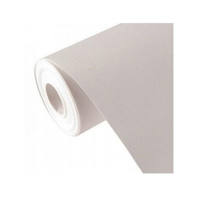 Material Bellas Artes – pintura-y-dibujo - Canson The Wall (Rollo), Extraliso, 200 gr., 100x500 cm. (1 x 5 mts.) | totenart.com