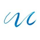 Material Bellas Artes - Pintura - Rotulador Pincel Pentel Touch, Azul Cielo | totenart.com