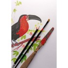 Material Bellas Artes – pintura-y-dibujo - Bloc Multi Técnica Paint On A4,  250 gr. 40 h. Clairefontaine  | totenart.com