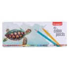 Material Bellas Artes – pintura-y-dibujo - Estuche de Metal 45 Lápices de Color Bruynzeel ANIMALES | totenart.com