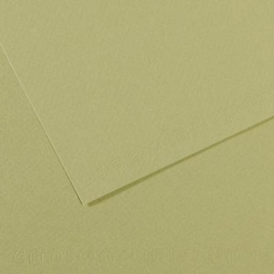 Mi-teintes Canson Salmon, 160 gr., 50x65 cm.