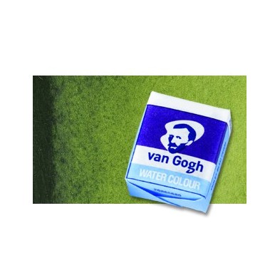 Material Bellas Artes - Pintura - Acuarela Van Gogh en pastilla color verde vejiga, 623 | totenart.com
