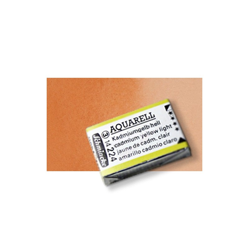 Material Bellas Artes - Pintura - Acuarela Schmincke Horadam, Siena Transparente 653, Godet Completo. S.1 * | totenart.com