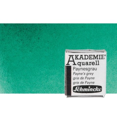 Material Bellas Artes - Pintura - Acuarela Schmincke Akademie, Verde Brillante 551, 1/2 Godet. * | totenart.com