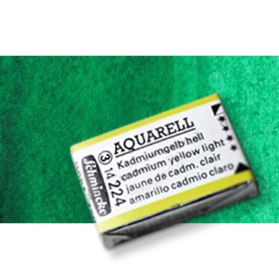 Material Bellas Artes - Pintura - Acuarela Schmincke Horadam, Verde Helio 514, Godet Completo. S.2 * | totenart.com