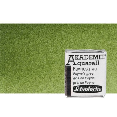 Material Bellas Artes - Pintura - Acuarela Schmincke Akademie, Verde Oliva 554, 1/2 Godet. * | totenart.com