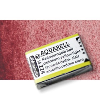 Material Bellas Artes - Pintura - Acuarela Schmincke Horadam, Rosa de Potter 370, Godet Completo. S.3 * | totenart.com