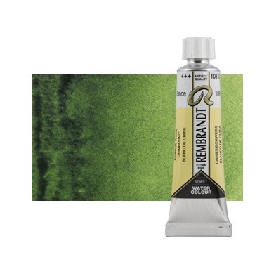 Material Bellas Artes - Pintura - Acuarela Rembrandt Color Verde Vejiga 623 (20 ml) S.2 | totenart.com