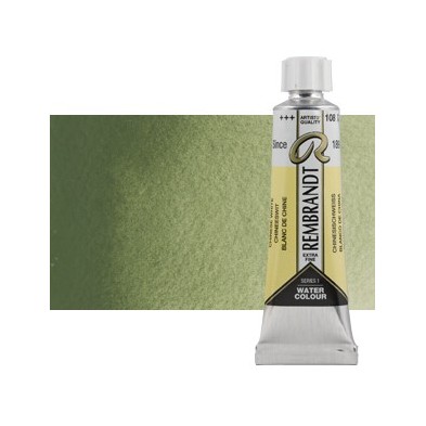Material Bellas Artes - Pintura - Acuarela Rembrandt Color Verde Óxido de Cromo 668 (20 ml) S.2 | totenart.com