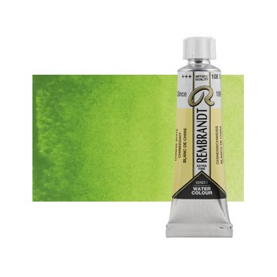 Material Bellas Artes - Pintura - Acuarela Rembrandt Color Verde Amarillo Permanente 633 (20 ml) S.2 | totenart.com