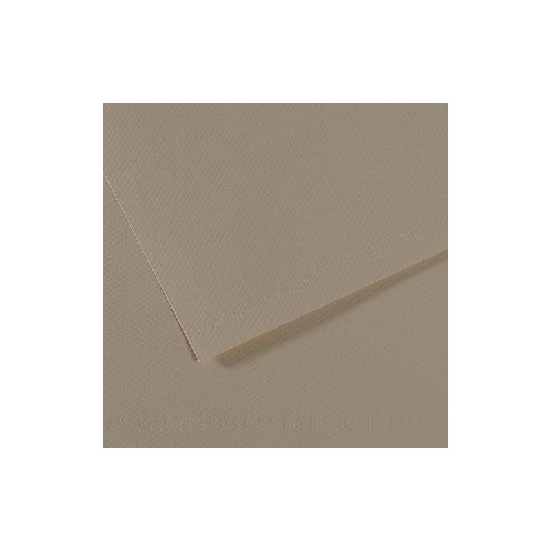 Mi-teintes Canson Cañamo Claro, 160 gr., 50x65 cm.