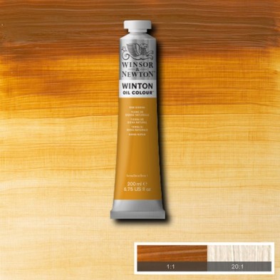 Material Bellas Artes - Pintura - Óleo Winsor & Newton Winton color Tierra Siena Natural (200 ml) | totenart.com