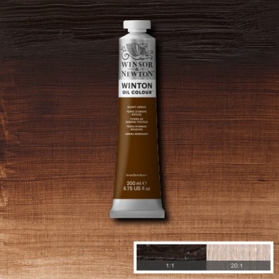 Material Bellas Artes - Pintura - Óleo Winsor & Newton Winton color tierra sombra tostada (200 ml) | totenart.com