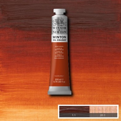 Material Bellas Artes - Pintura - Óleo Winsor & Newton Winton color tierra siena tostada (200 ml) | totenart.com