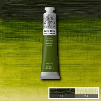 Material Bellas Artes - Pintura - Óleo Winsor & Newton Winton color verde vejiga (200 ml) | totenart.com