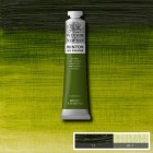 Material Bellas Artes - Pintura - Óleo Winsor & Newton Winton color verde vejiga (200 ml) | totenart.com