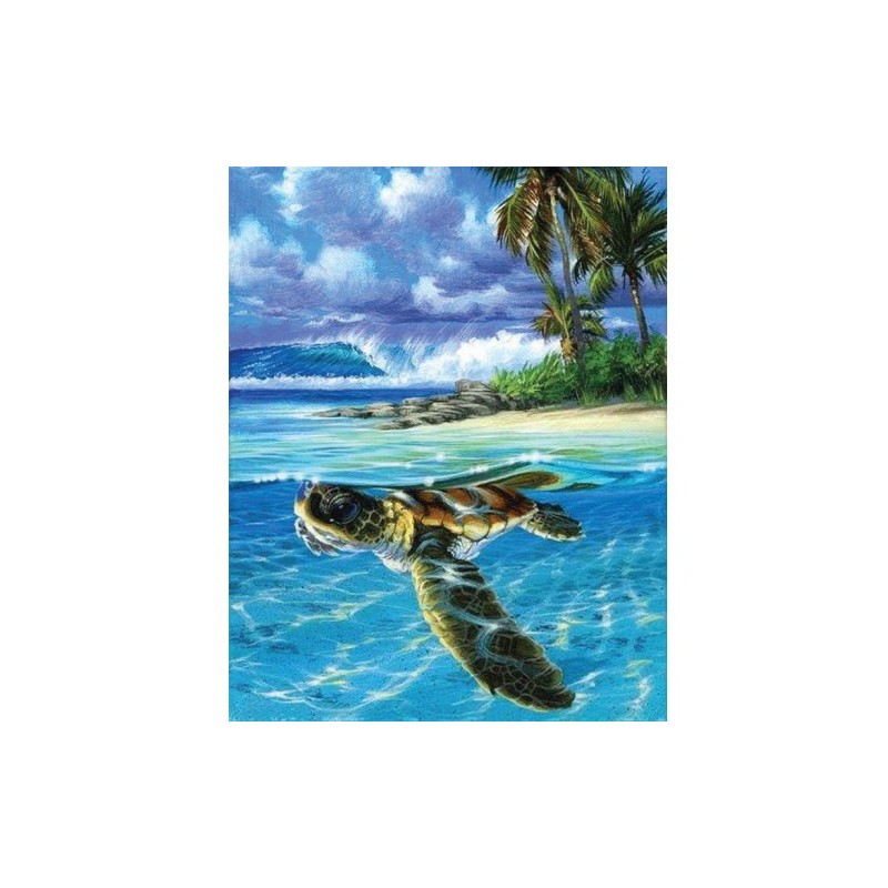 Material Bellas Artes - Pintura - Pintar por números kit cuadro \"Tortuga relajada\", 40x50cm, Figured\'Art | totenart.com