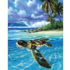 Material Bellas Artes - Pintura - Pintar por números kit cuadro \"Tortuga relajada\", 40x50cm, Figured\'Art | totenart.com