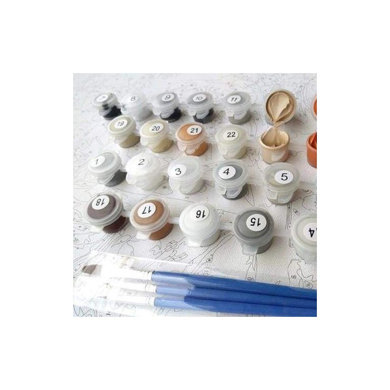 Material Bellas Artes - Pintura - Pintar por números kit cuadro \"Flor blanca\", 40x50cm, Figured\'Art | totenart.com