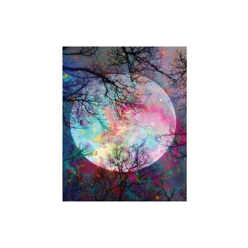 Material Bellas Artes - Pintura - Pintar por números kit cuadro \"Luna llena con reflejos\", 40x50cm, Figured\'Art | totenart.co