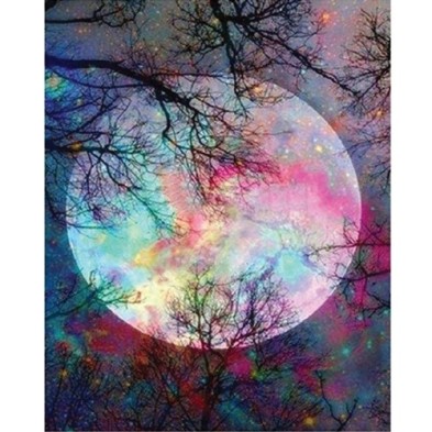 Material Bellas Artes - Pintura - Pintar por números kit cuadro \"Luna llena con reflejos\", 40x50cm, Figured\'Art | totenart.co