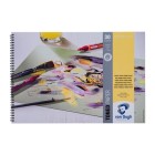 Material Bellas Artes – pintura-y-dibujo - Bloc Toned Paper Van Gogh Verde Bosque, 30 hojas, 120 gr (A3) | totenart.com