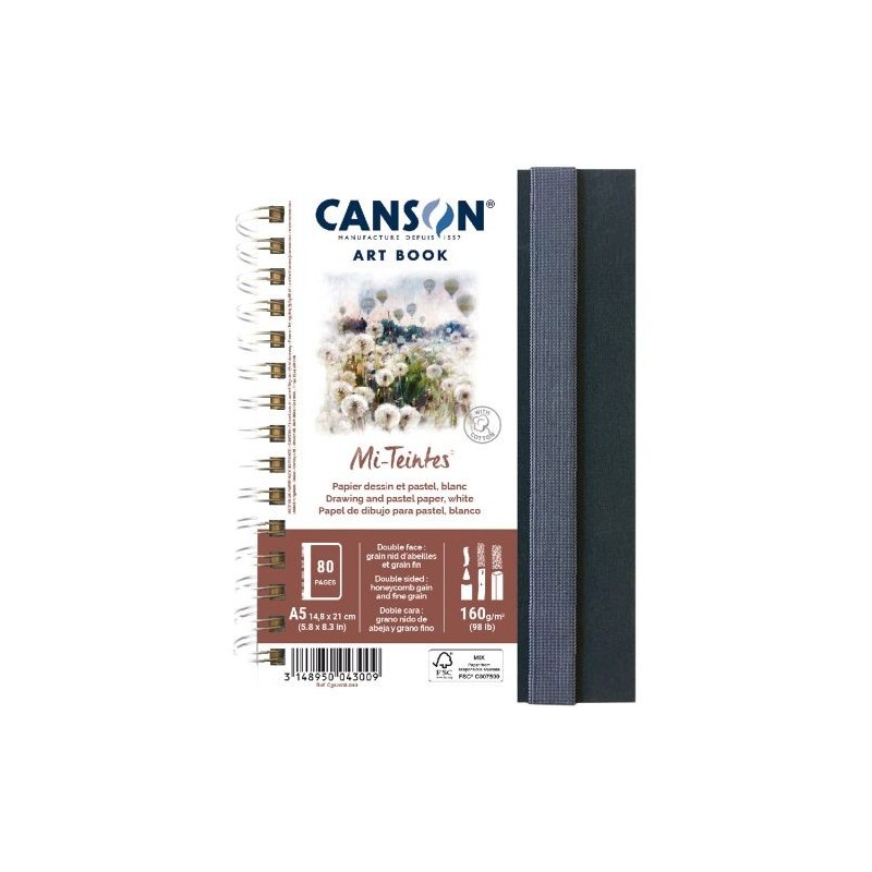 Material Bellas Artes – pintura-y-dibujo - Bloc Canson Art Book Mi-Teintes, Tapa dura, 160 gr, 14,8x21, Doble cara: Gra. nido de