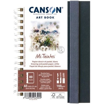 Material Bellas Artes – pintura-y-dibujo - Bloc Canson Art Book Mi-Teintes, Tapa dura, 160 gr, 14,8x21, Doble cara: Gra. nido de