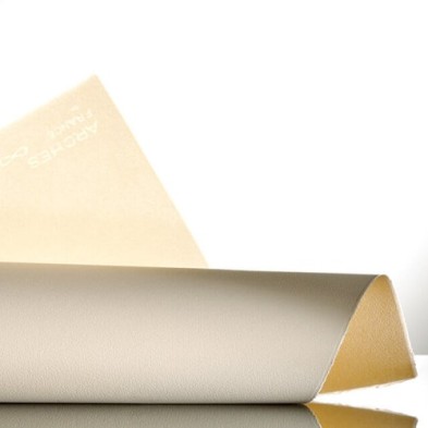 Material Bellas Artes-Velin D Arches, 250 gr., 50x65 cm., Blanco