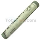 Pastel Rembrandt Gris Verdoso 5