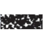 Pastel Rembrandt Negro 5