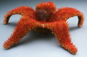 Luz de Lis 4 Escultura de estrella de mar con lapices - Noticias de arte